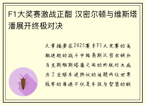 F1大奖赛激战正酣 汉密尔顿与维斯塔潘展开终极对决