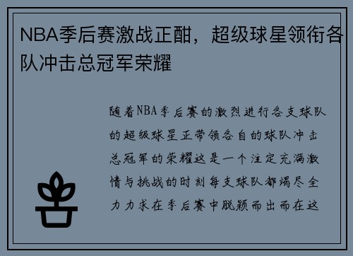 NBA季后赛激战正酣，超级球星领衔各队冲击总冠军荣耀