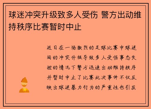 球迷冲突升级致多人受伤 警方出动维持秩序比赛暂时中止